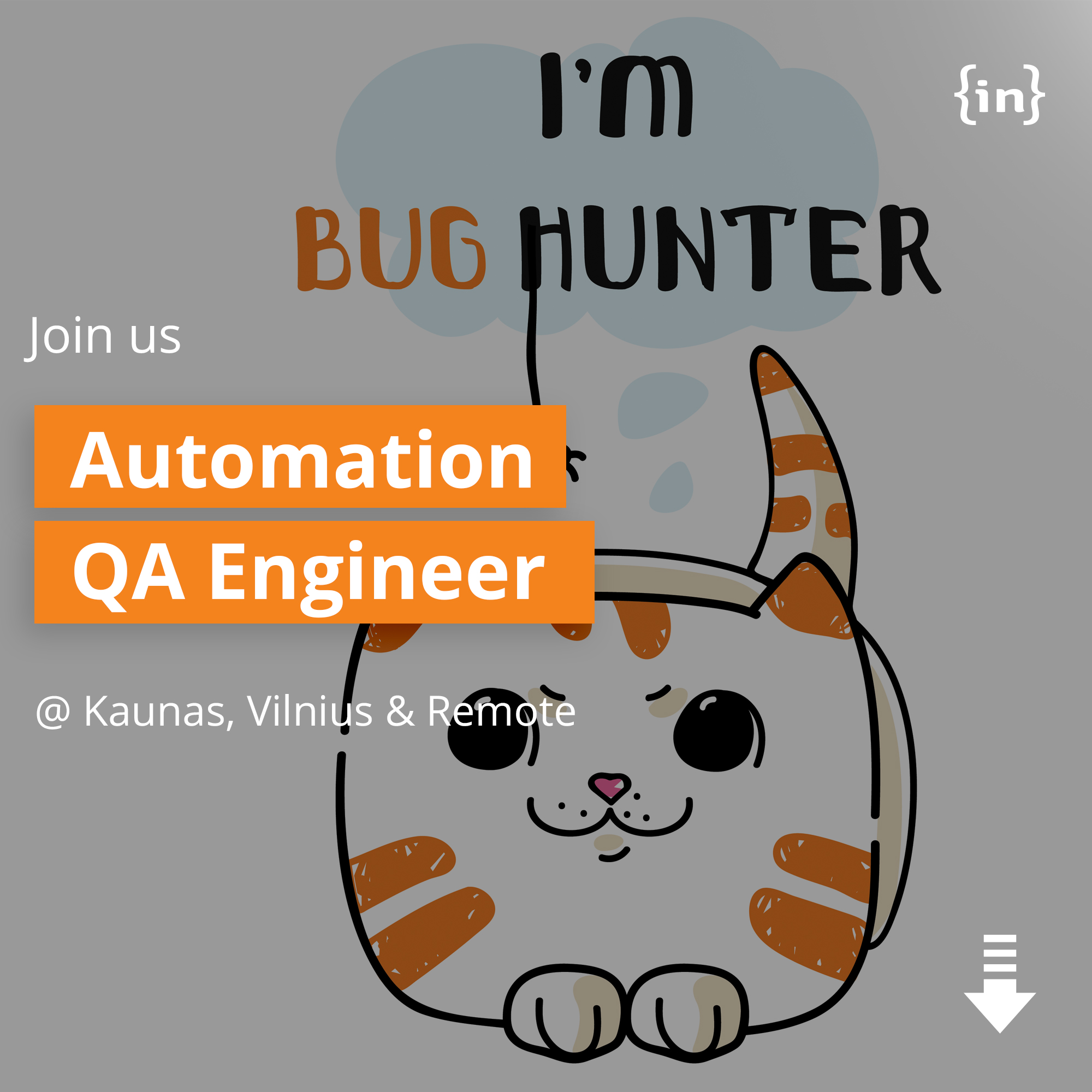 Qa Automation Engineer Dedikuoti Programuotojai Programavimo Paslaugos Startup Kūrimas 